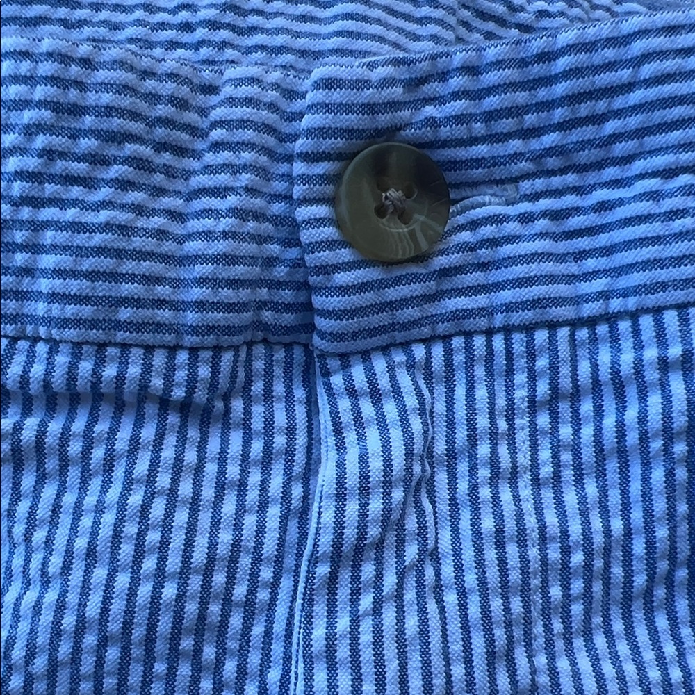 Blue Striped Pants - Picture 4 of 8